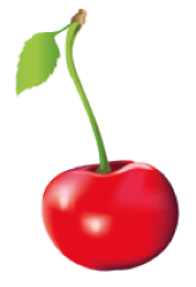 Illustration Kirsche, Vektorgrafik